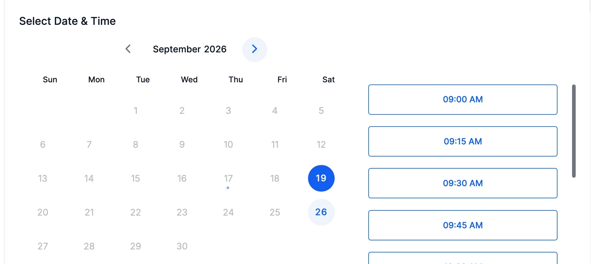 Calendar date and appointment time selection in the online booking system